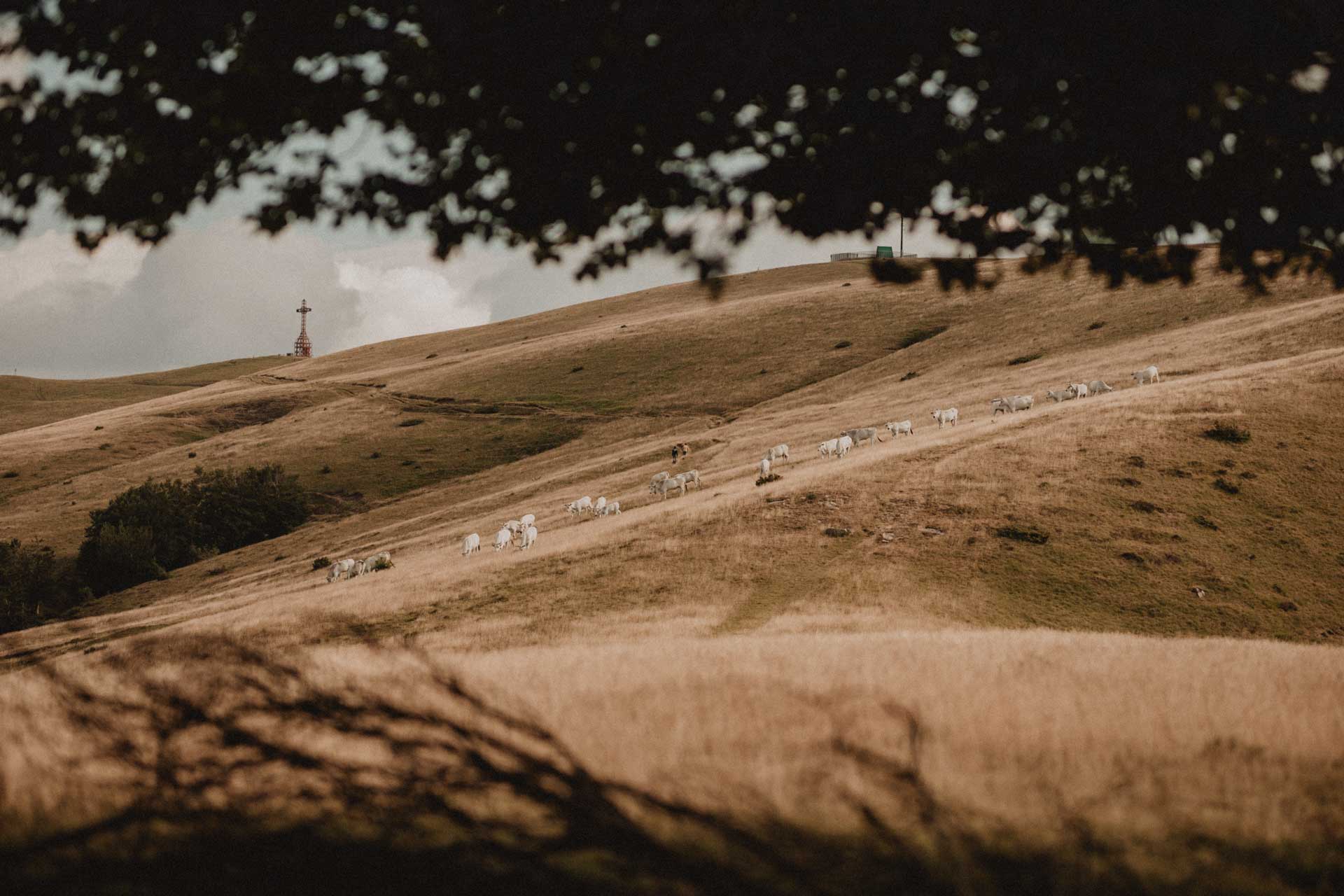 the unseen photography dreamy couple photo shoot in tuscany