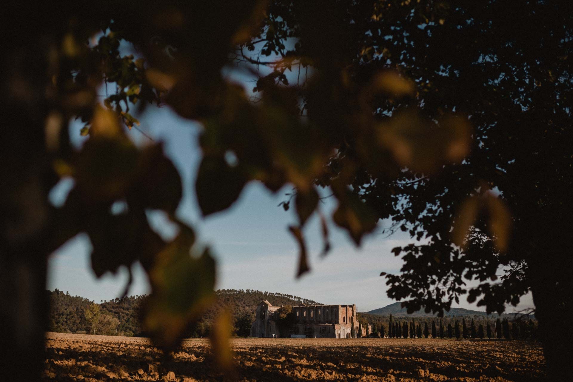 San Galgano Wedding Photography