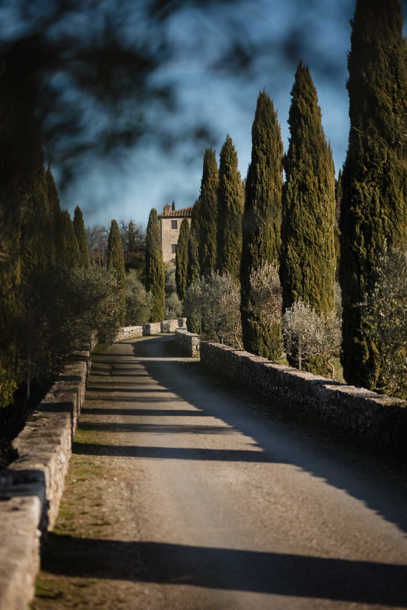 maternity photoshoot in castello di meleto tuscany