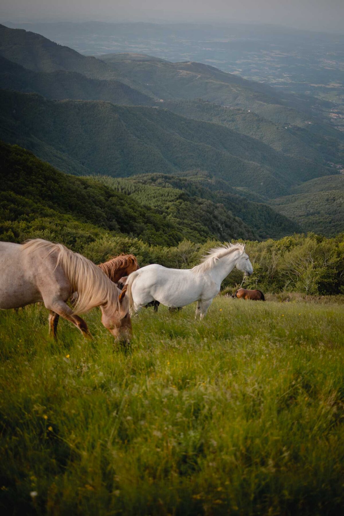 the unseen photography pratomagno tuscany