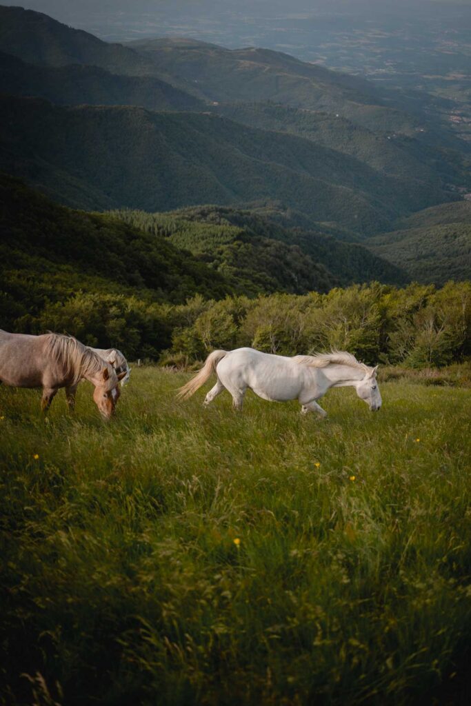 the unseen photography pratomagno tuscany