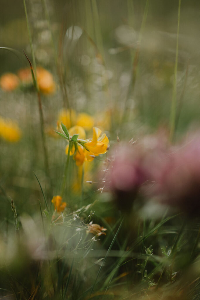 the unseen photography pratomagno tuscany