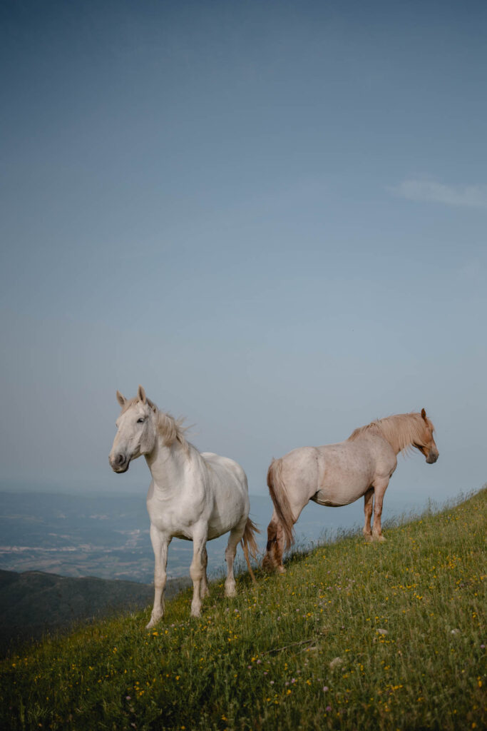 the unseen photography pratomagno tuscany