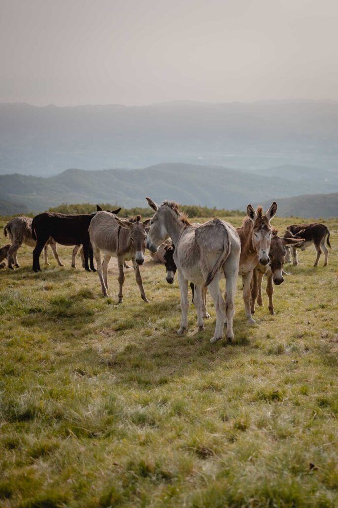 the unseen photography pratomagno tuscany