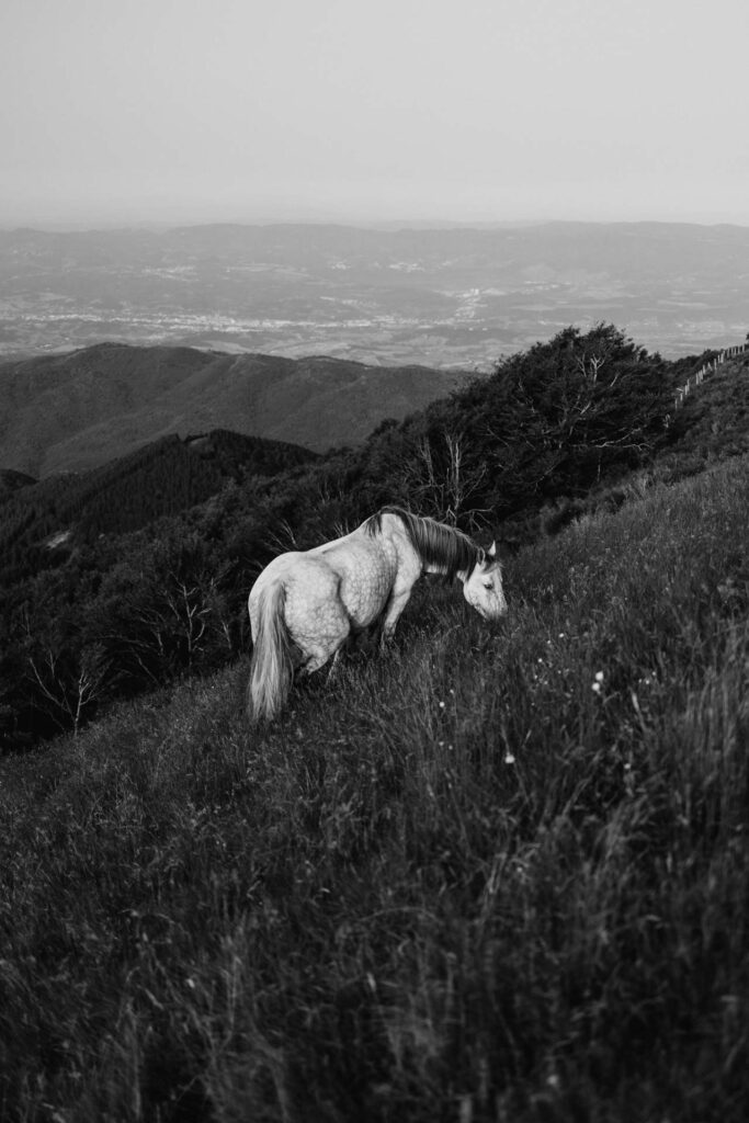 the unseen photography pratomagno tuscany