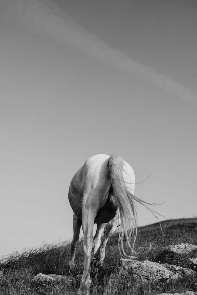 the unseen photography pratomagno tuscany