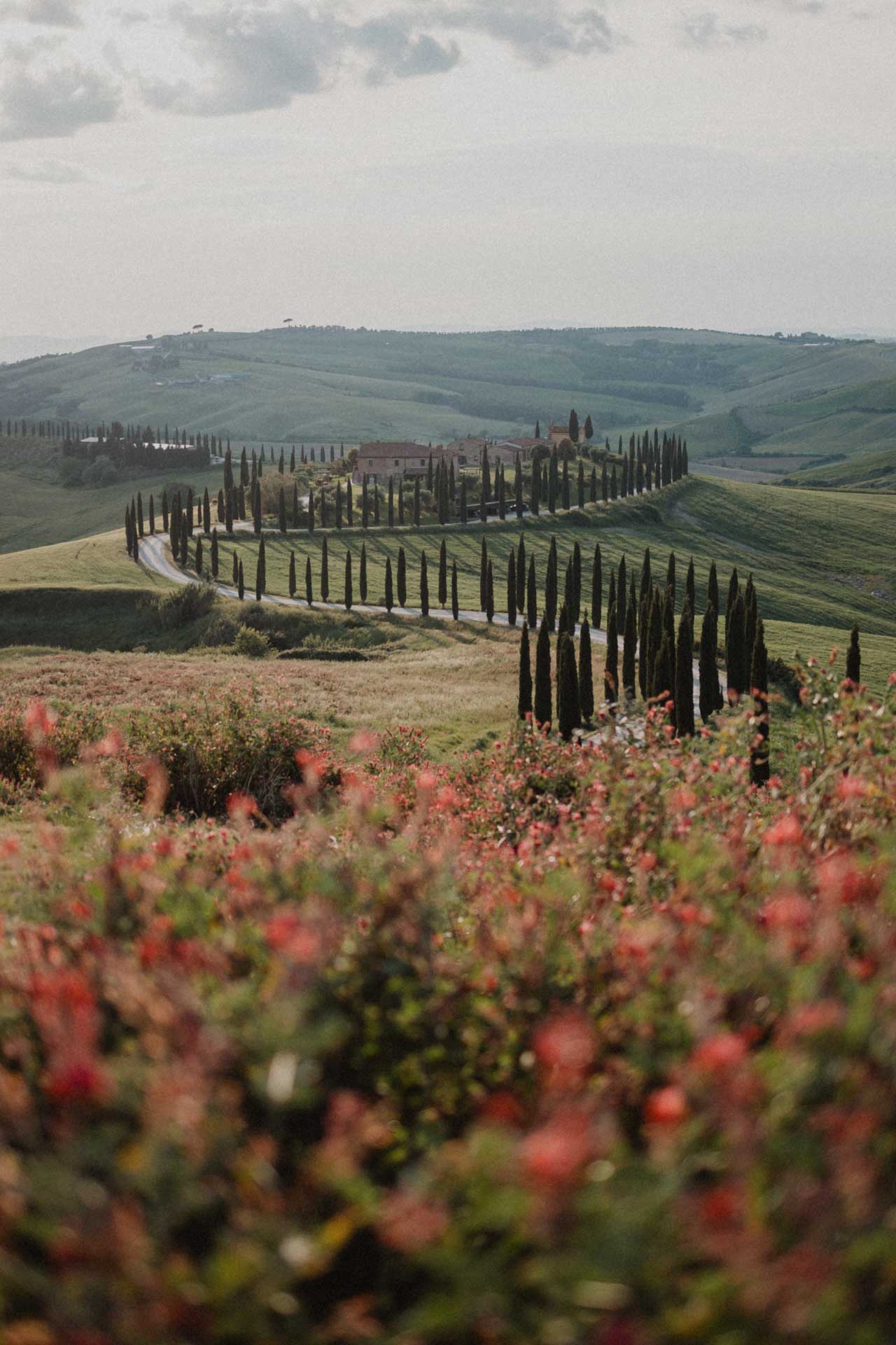 family photo shoot baccoleno tuscany