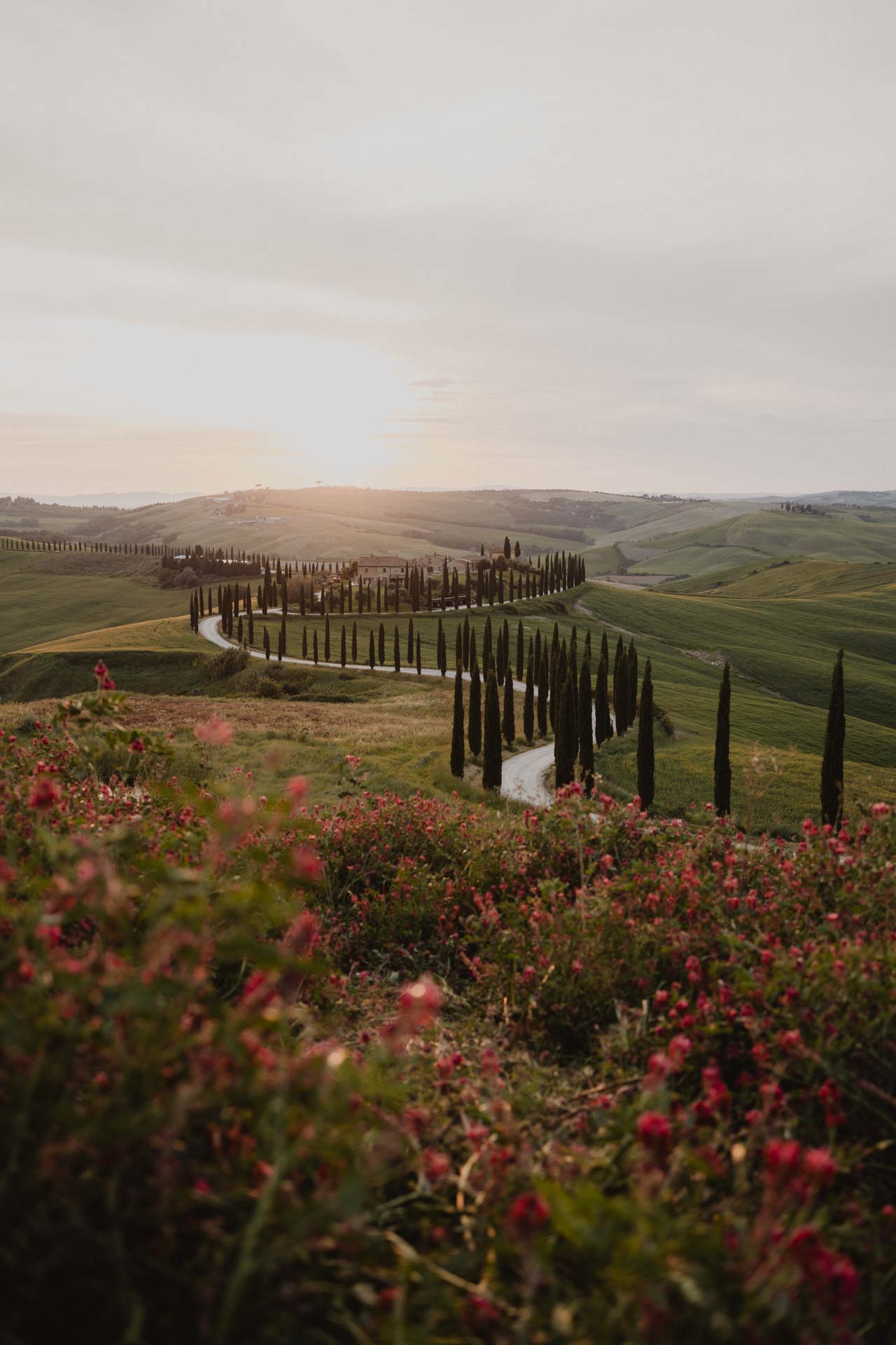 family photo shoot baccoleno tuscany